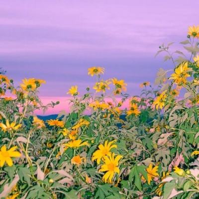 8868体育注册与登录旗舰版